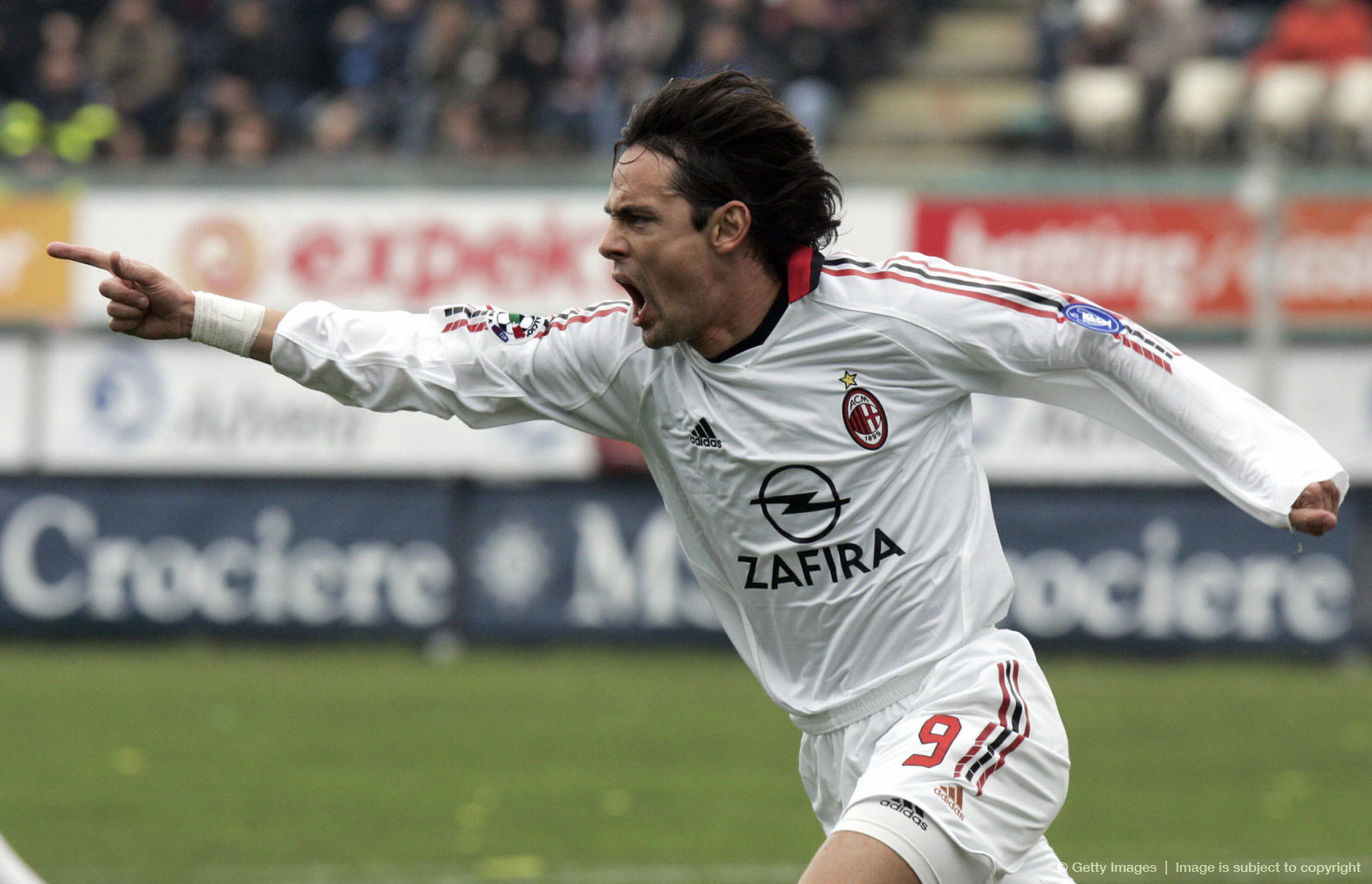 类似的大型 类似的大型